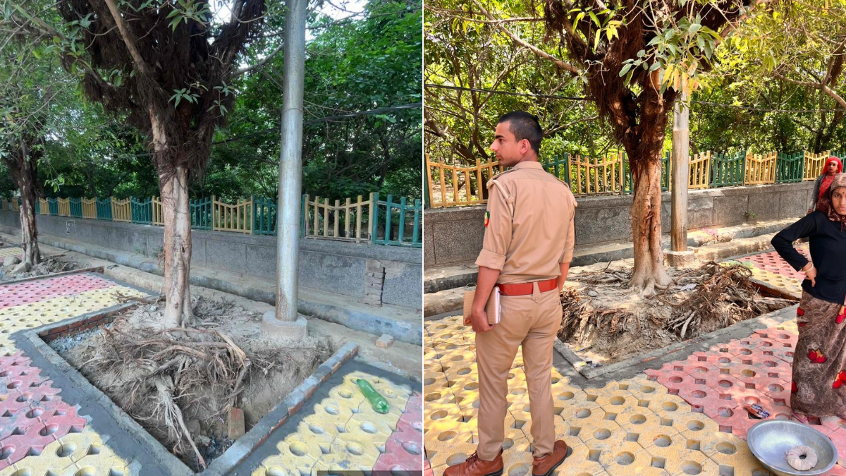 पर्यावरणविद् की शिकायत पर कार्रवाई, पेड़ों को नुकसान पहुंचाने वाले टाइल वर्क पर रोकने ब्रांड 
